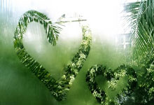 ac米兰-热血逆袭！南京男篮一鼓作气豪取连胜，一鸣惊人势不可挡