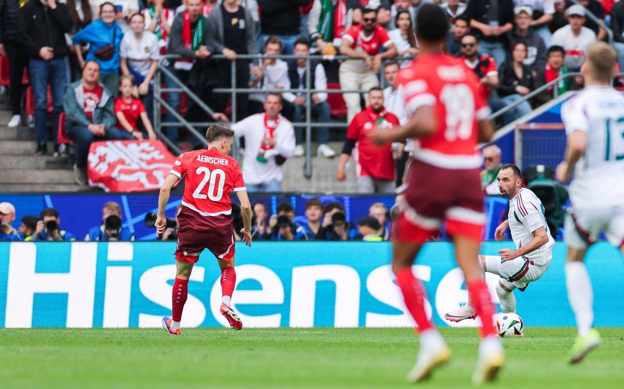 惊心动魄！欧洲国家杯赛事选手实力竞拼